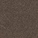 Shadowstone Twist Pile Carpet (CQE3) - National Floors