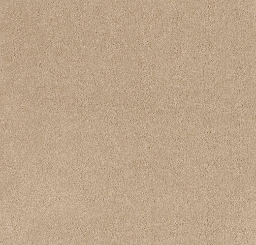 Sanctum Cut Pile Twist Carpet (CEB9)