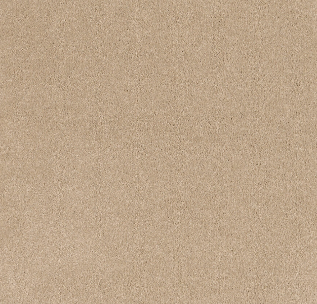 Sanctum Cut Pile Twist Carpet (CEB9)