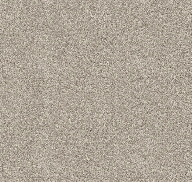 Silvate Cut Pile Twist Carpet (CGD10)