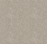 Silvate Cut Pile Twist Carpet (CGD10)