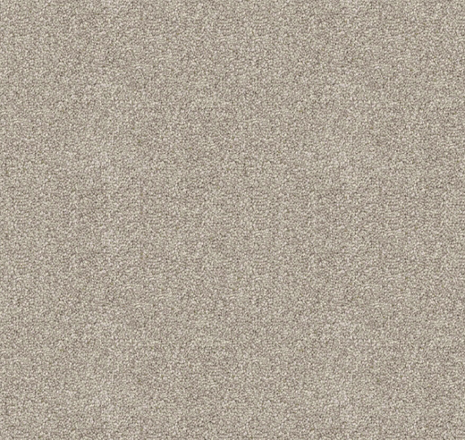 Silvate Cut Pile Twist Carpet (CGD10)