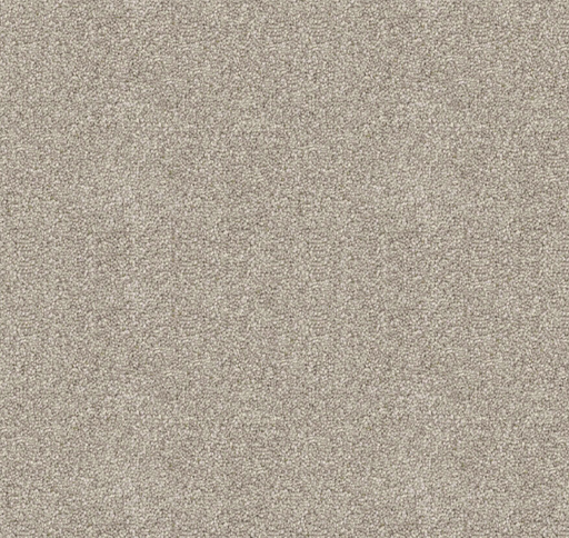 Silvate Cut Pile Twist Carpet (CGD10) - National Floors