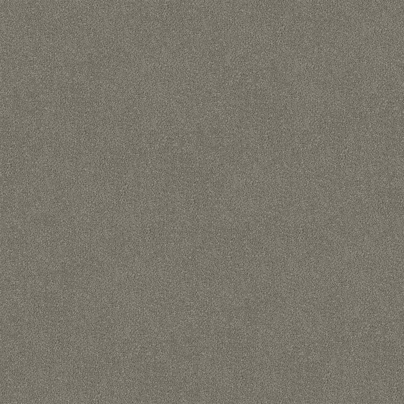 Silver Veil Cut Pile Twist Carpet (CGR7)