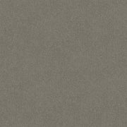 Silver Veil Cut Pile Twist Carpet (CGR7)