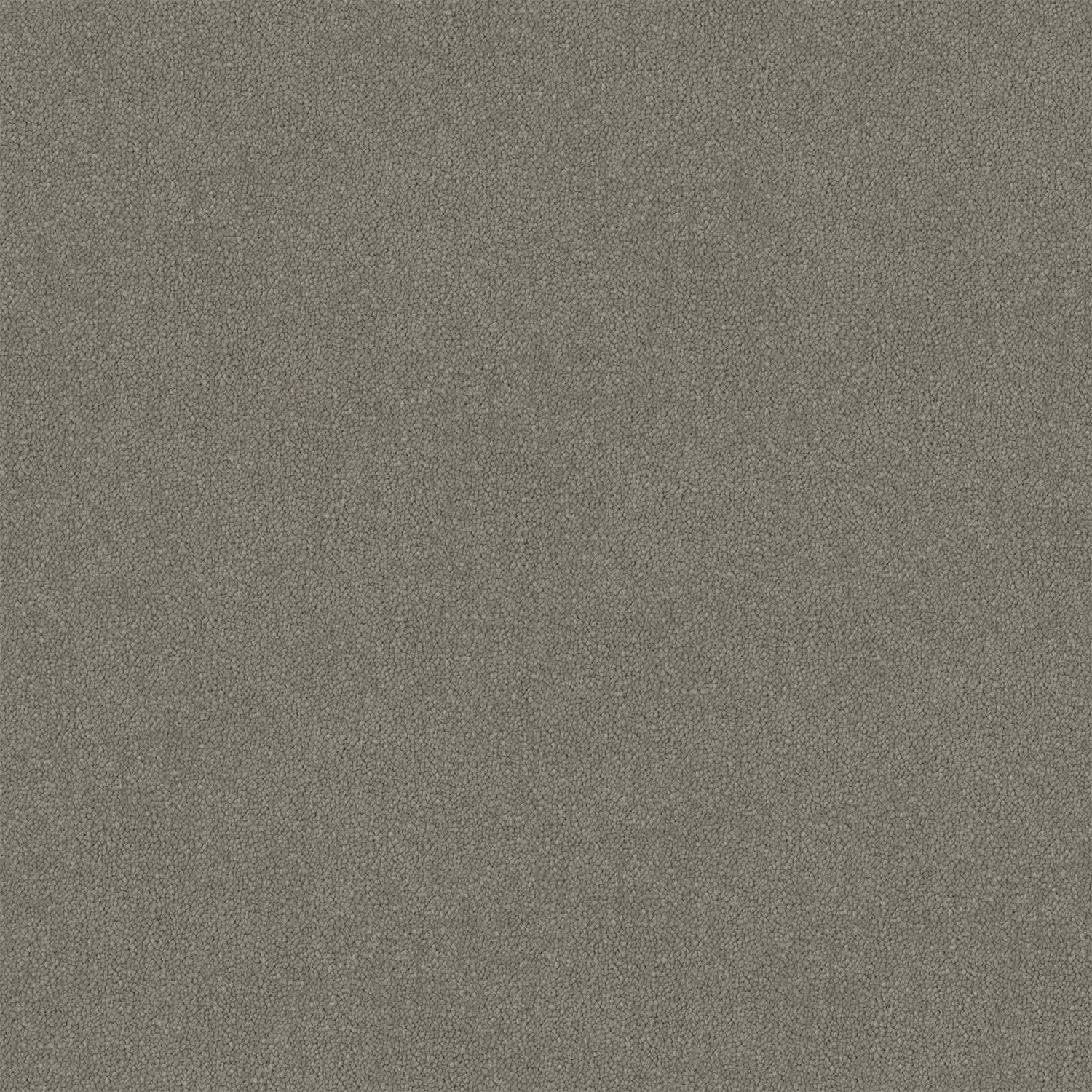 Silver Veil Cut Pile Twist Carpet (CGR7)