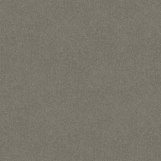 Silver Veil Cut Pile Twist Carpet (CGR7)