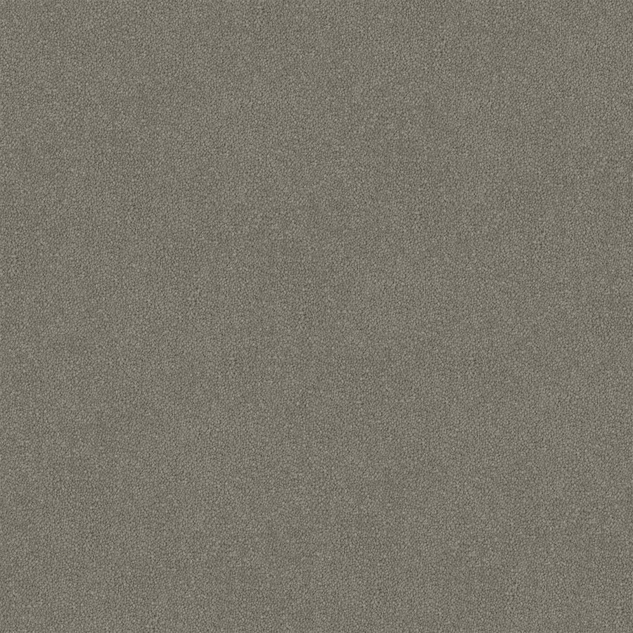 Silver Veil Cut Pile Twist Carpet (CGR7)