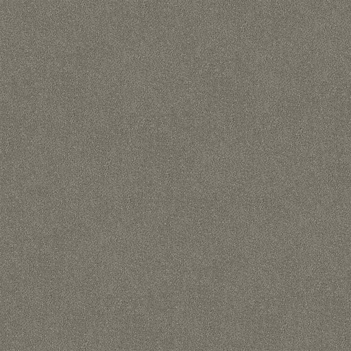 Silver Veil Cut Pile Twist Carpet (CGR7) - National Floors