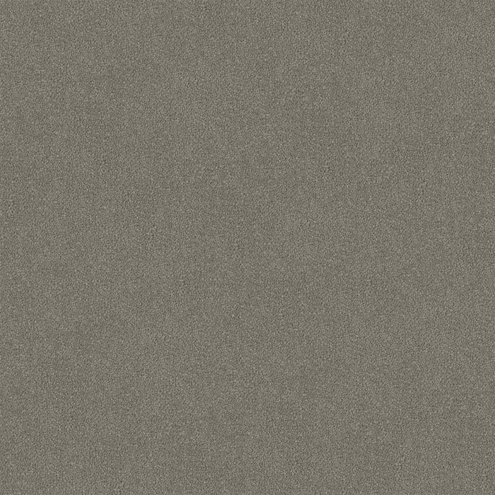 Silver Veil Cut Pile Twist Carpet (CGR7) - National Floors