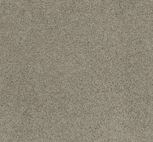 Smoketide Cut Pile Twist Carpet (CGL9)