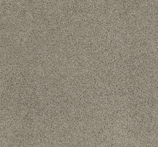 Smoketide Cut Pile Twist Carpet (CGL9) - National Floors