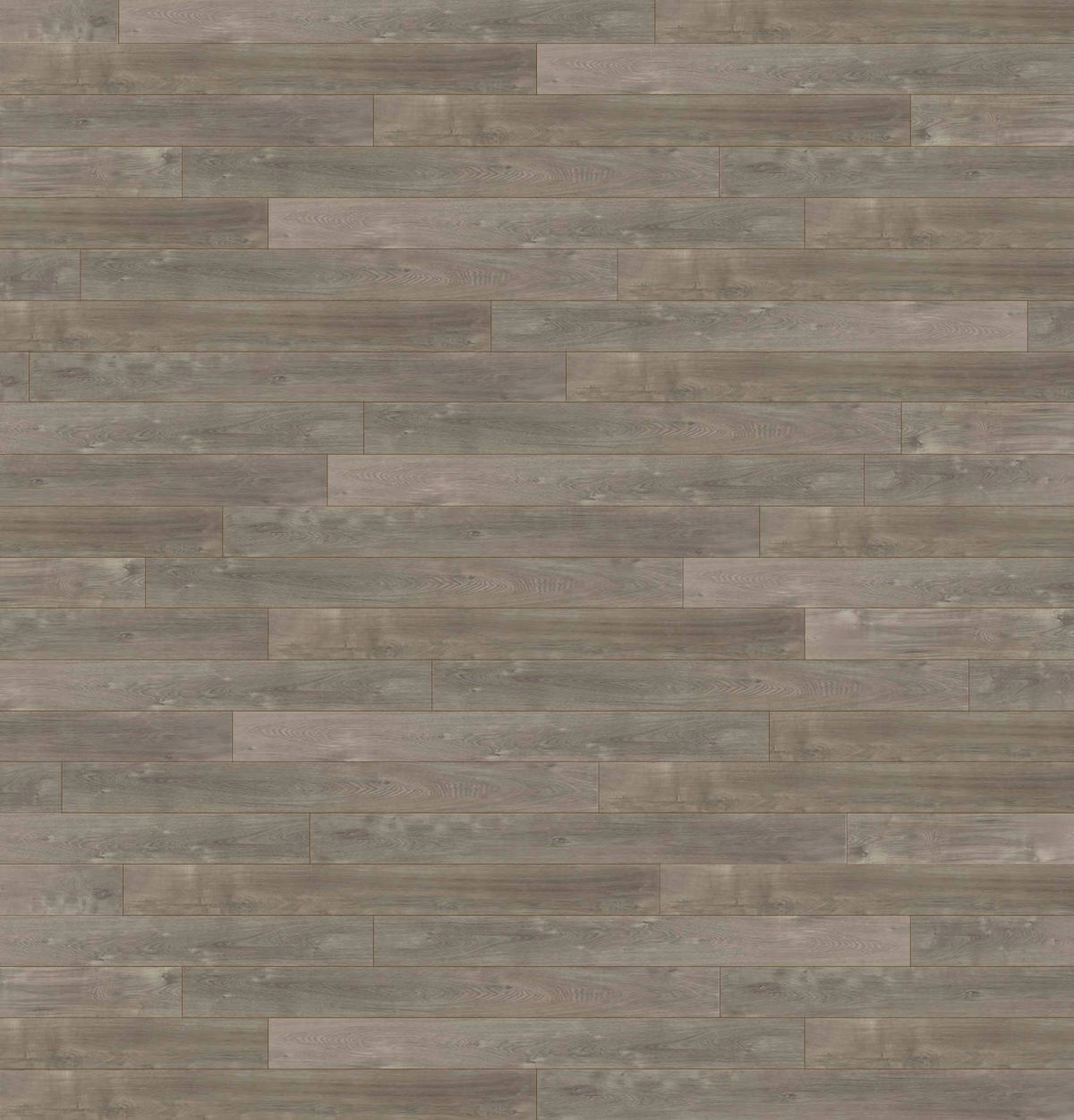 Chestnut Oak 8mm Laminate Flooring (LS24)