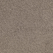 Spincrest Twist Pile Carpet (CQE10)