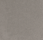 Greyhold Cut Pile Twist Carpet (CEB10)