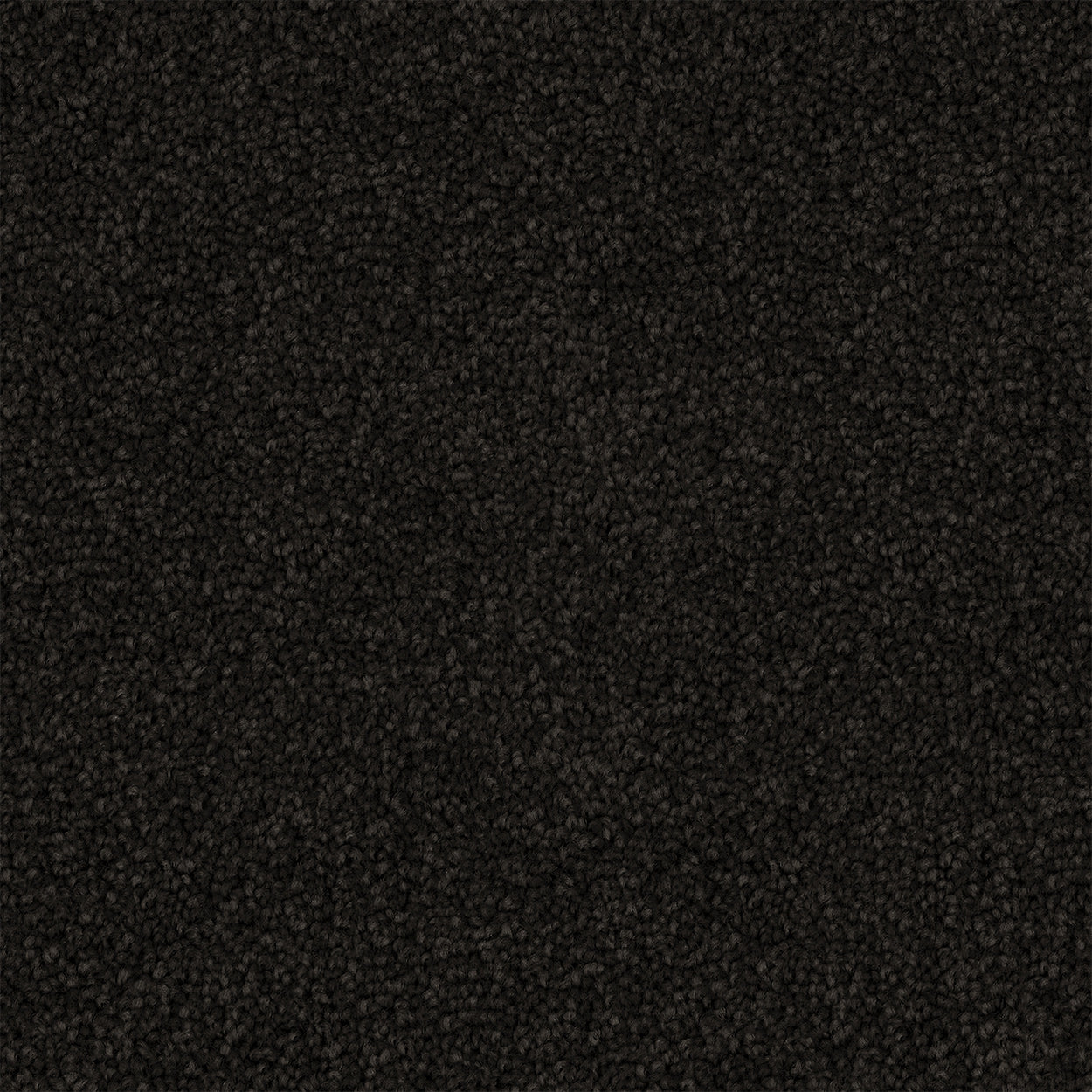 Streetglow Cut Pile Twist Carpet (CGS10) - National Floors