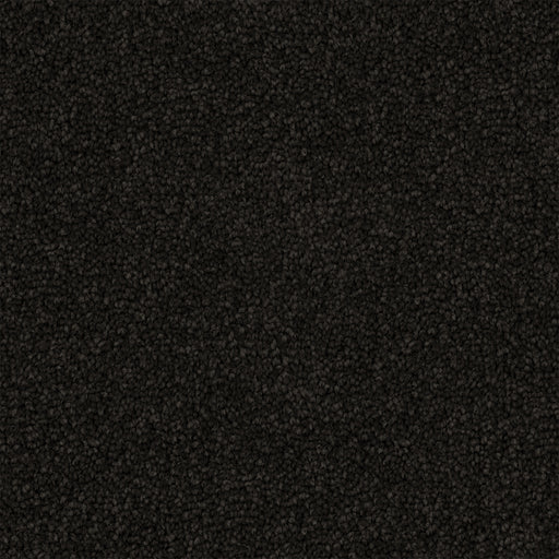 Streetglow Cut Pile Twist Carpet (CGS10) - National Floors