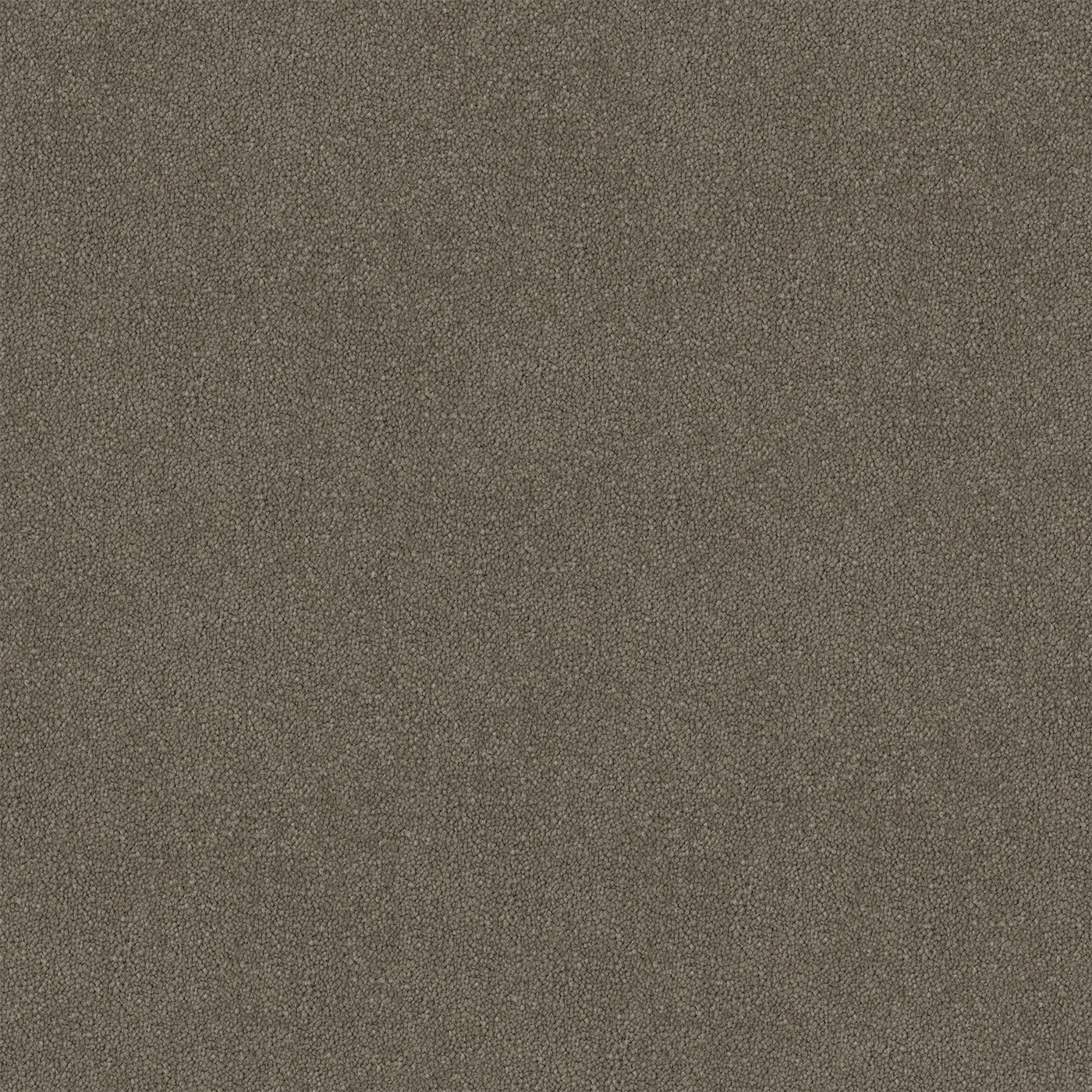 Suede Etch Cut Pile Twist Carpet (CGR10)