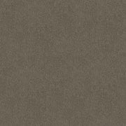 Suede Etch Cut Pile Twist Carpet (CGR10)