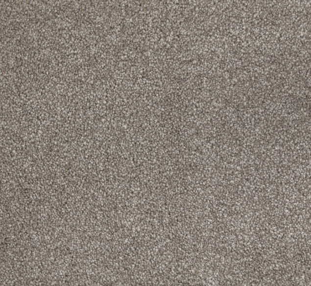 Sunrise Coast Cut Pile Twist Carpet (CGN13)