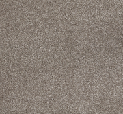 Sunrise Coast Cut Pile Twist Carpet (CGN13)