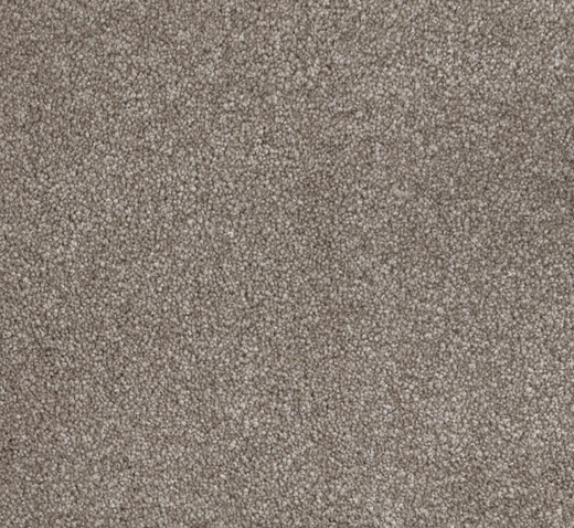 Sunrise Coast Cut Pile Twist Carpet (CGN13)
