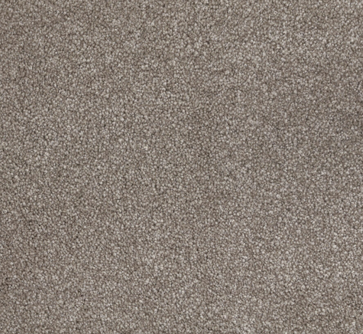 Sunrise Coast Cut Pile Twist Carpet (CGN13) - National Floors