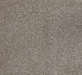 Sunrise Coast Cut Pile Twist Carpet (CGN13) - National Floors