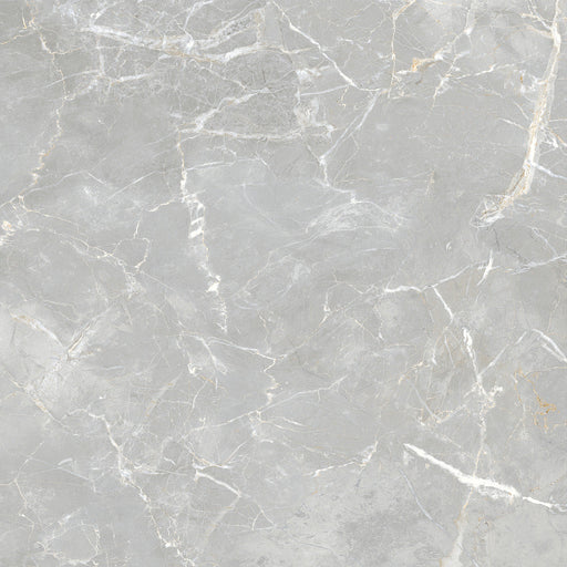 Cool Grey  Tiles Flooring (TM21) - original tile image