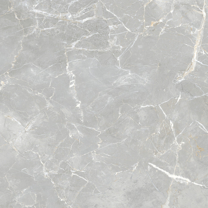 Cool Grey  Tiles Flooring (TM21) - original tile image
