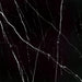 Jet Black Tiles Flooring (TM28) - National Floors