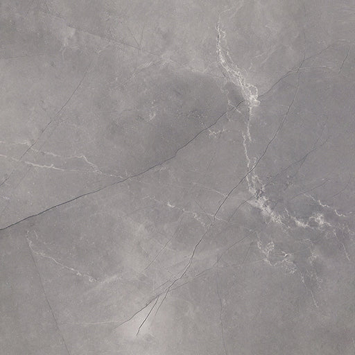 Dove Grey TM38 original tile image