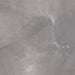 Dove Grey TM38 original tile image