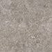Pale Sand TM61 original tile image