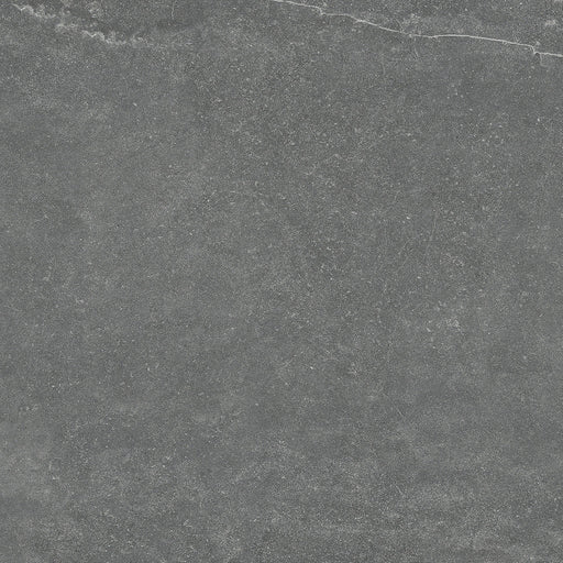 Thunder Grey TM66 original tile image
