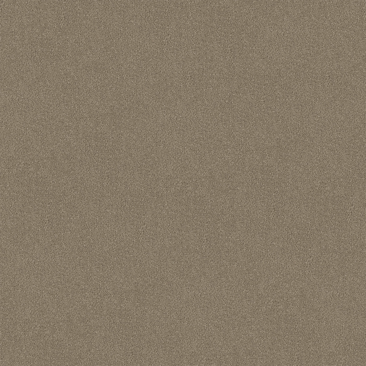 Taupe Luxe Cut Pile Twist Carpet (CGR9)