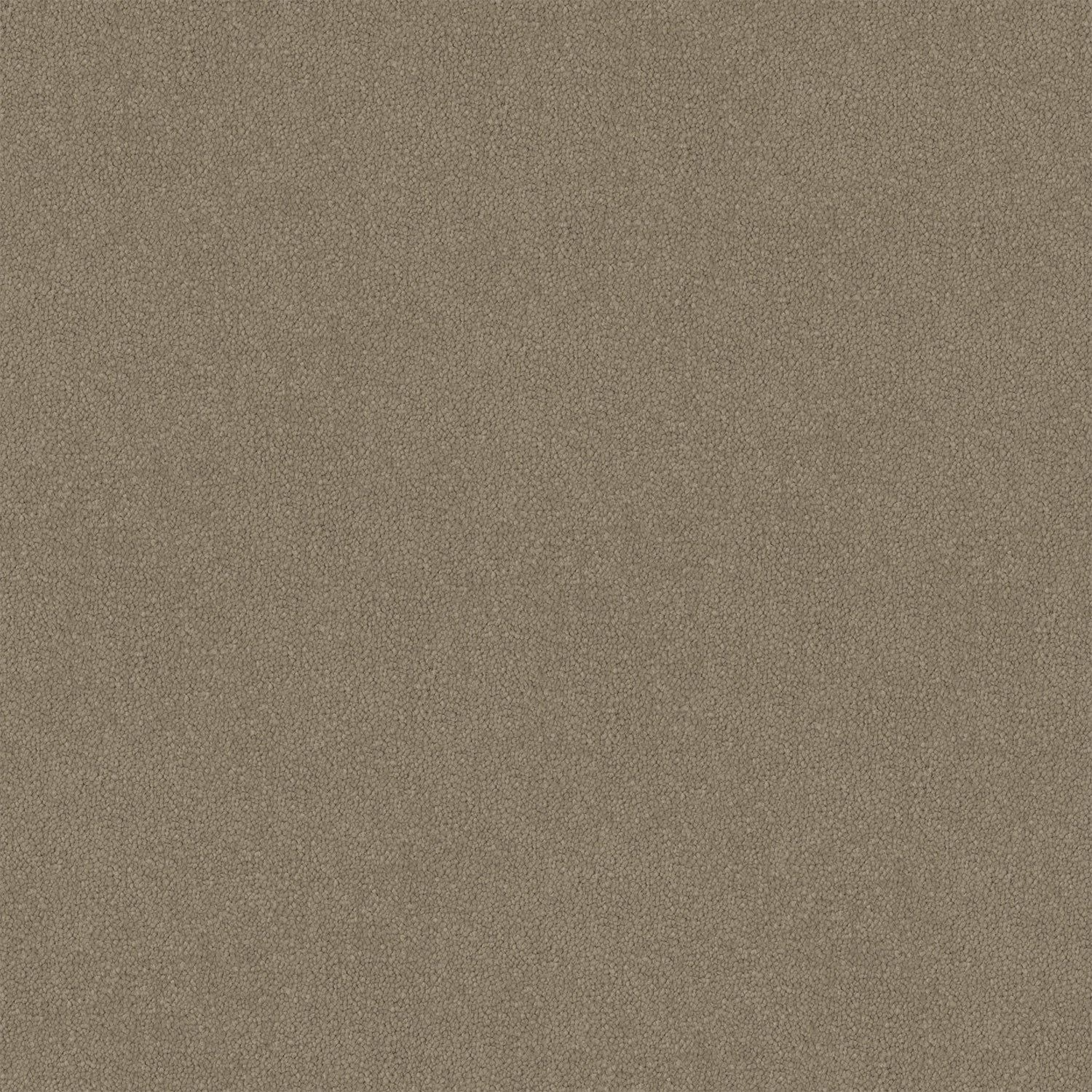 Taupe Luxe Cut Pile Twist Carpet (CGR9)