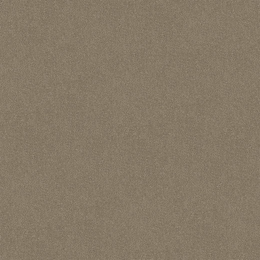 Taupe Luxe Cut Pile Twist Carpet (CGR9)
