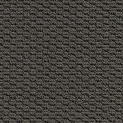 Tauven Loop Pile Carpet (CQK9)