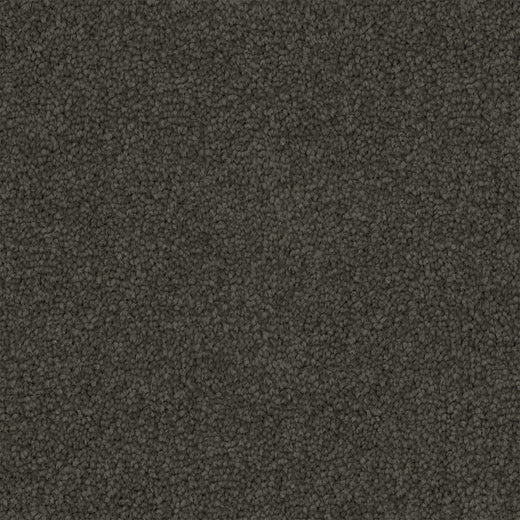 Tawren Cut Pile Twist Carpet (CGS11)