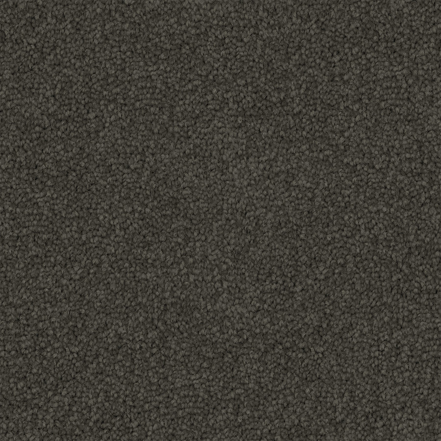 Tawren Cut Pile Twist Carpet (CGS11)