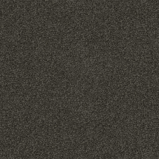 Tawren Cut Pile Twist Carpet (CGS11) - National Floors