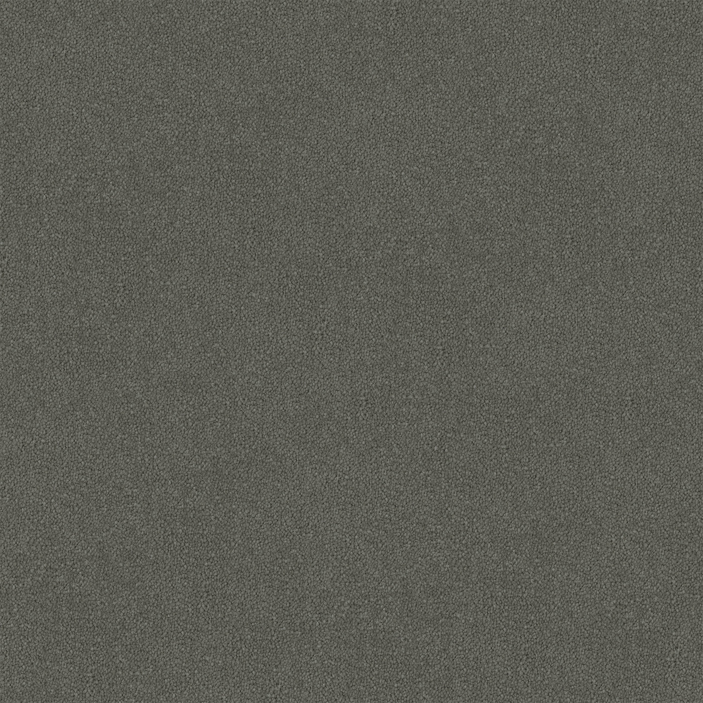 Thundara Cut Pile Twist Carpet (CGR11)