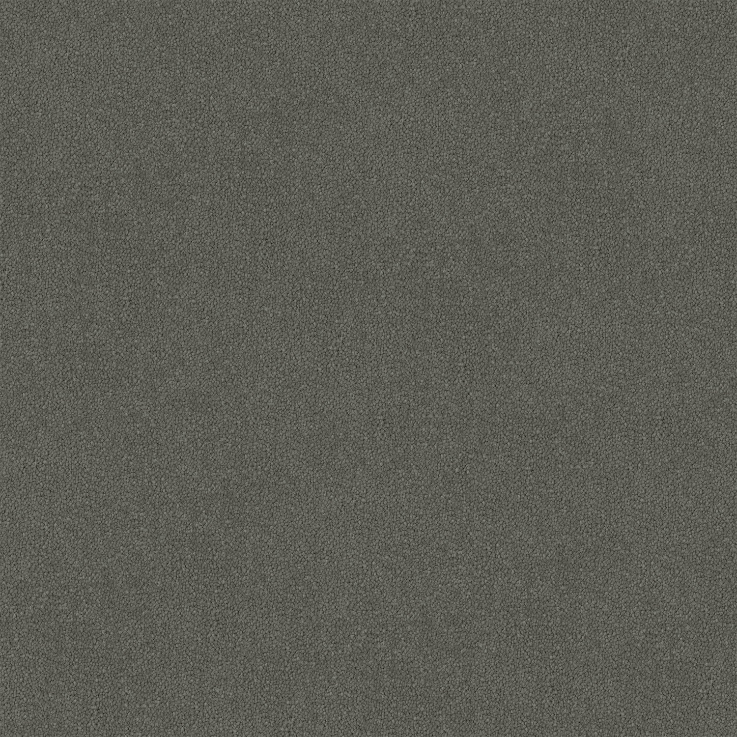 Thundara Cut Pile Twist Carpet (CGR11)