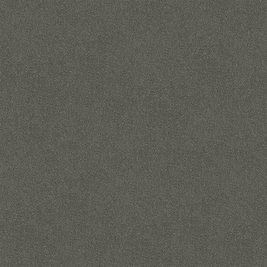 Thundara Cut Pile Twist Carpet (CGR11)