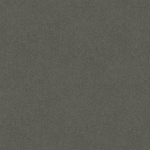 Thundara Cut Pile Twist Carpet (CGR11) - National Floors