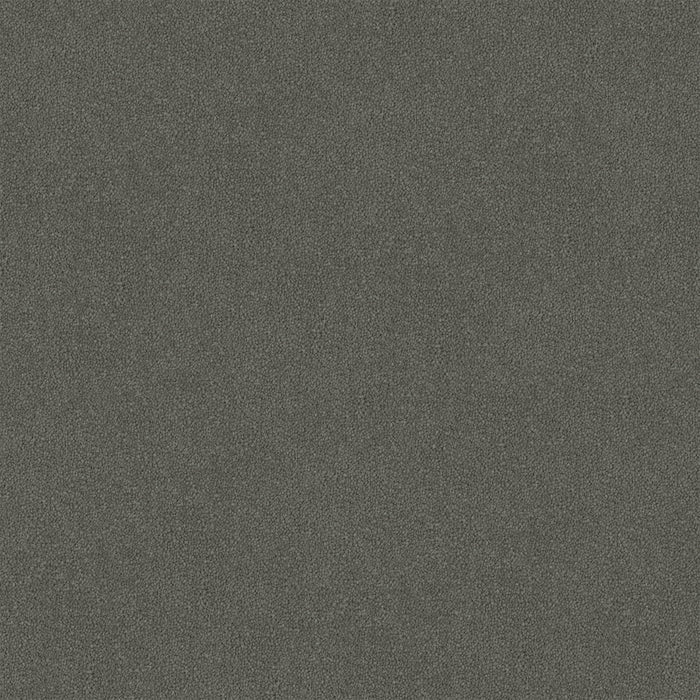 Thundara Cut Pile Twist Carpet (CGR11) - National Floors