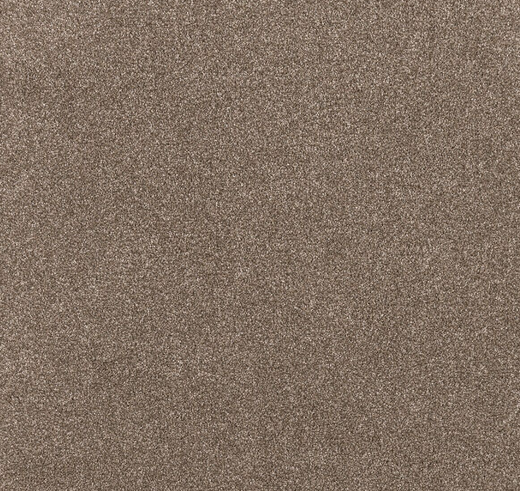Thornvale Cut Pile Twist Carpet (CEL8)