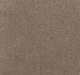 Thornvale Cut Pile Twist Carpet (CEL8) - National Floors
