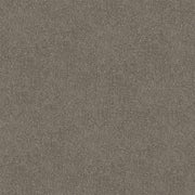 Trufflestone Cut Pile Twist Carpet (CGR2)